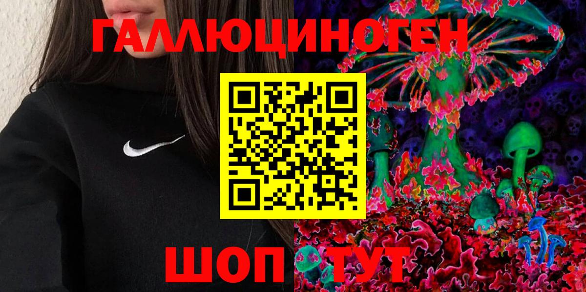 Псилоцибиновые грибы GOLDEN TEACHER  цена   Донской  Вход с VPN 