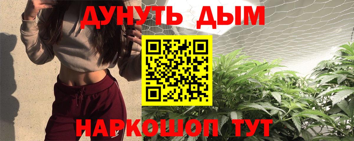 Каннабис план Донской